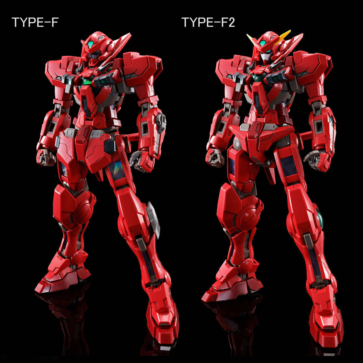 (P-Bandai) MG Gundam Astrea Type F [Full Weapon Set] & Avalanche' Unit