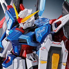 RG Destiny Gundam [Titanium Finish] Bonus RG Wing of Light For RG Destiny