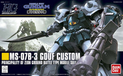 HG MS-07B-3 Gouf Custom