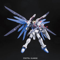 RG Freedom Gundam