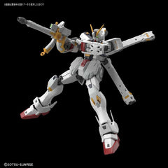 RG Crossbone Gundam X1