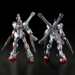(P-Bandai) HGUC Crossbone Gundam X-0